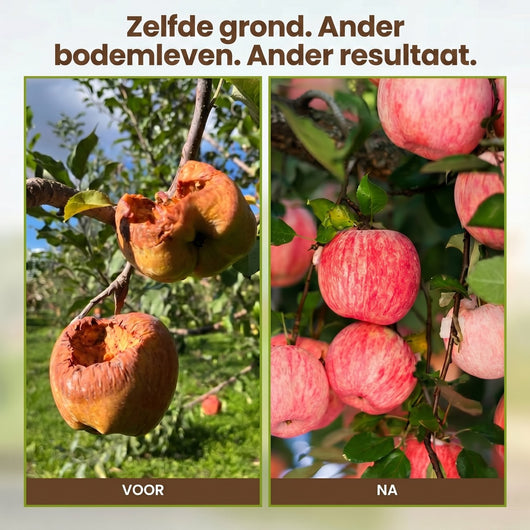 BodemBoost™ — Breng Je Bodem Terug Tot Leven