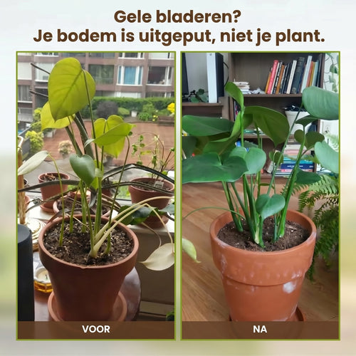 BodemBoost™ — Breng Je Bodem Terug Tot Leven